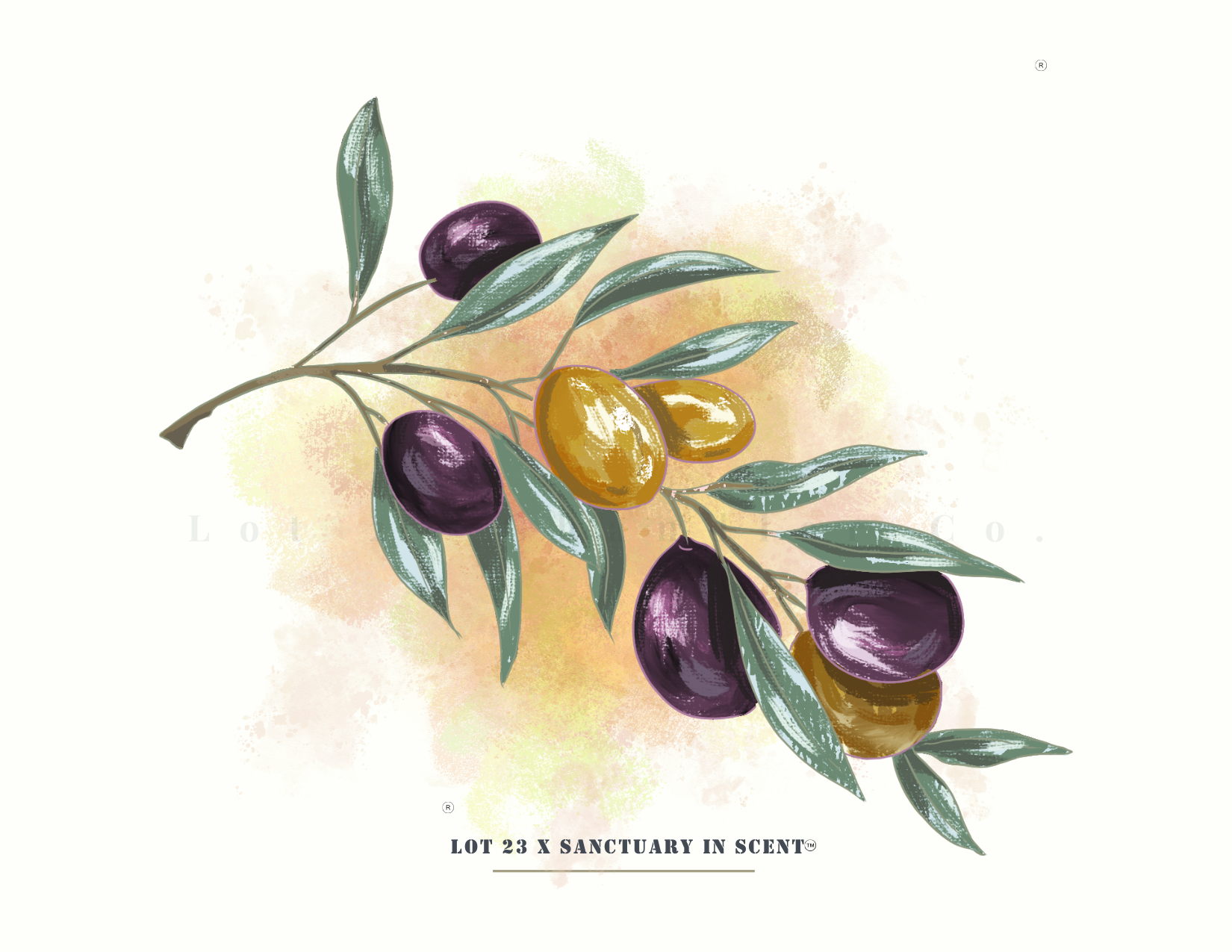 Lot 23 Chandler Co Perfume Class in Atlanta City. Illustration of an olive branch with olives on a watercolor background